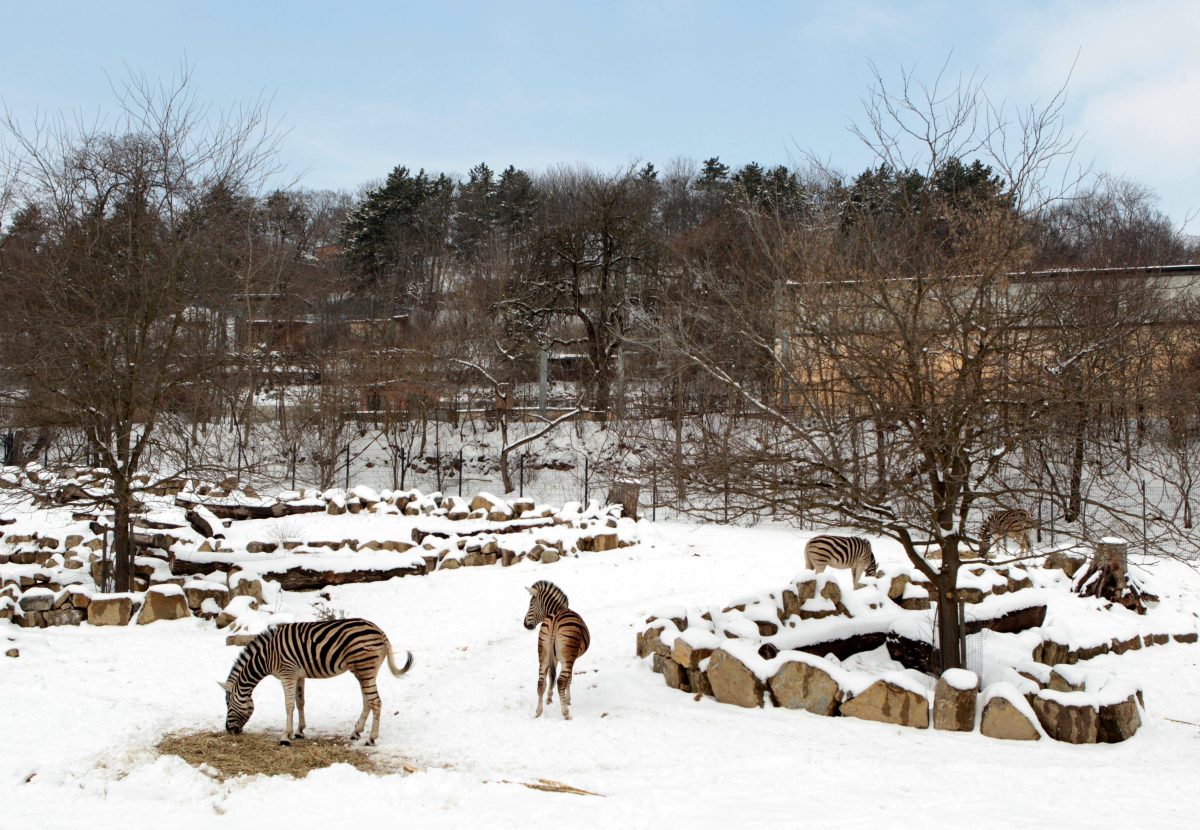 zoo erfurt