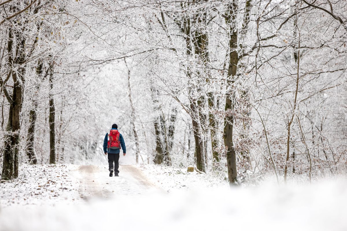Kannst du im Januar noch mit Schnee in Thüringen und vor allem im Thüringer Wald rechnen? Wetter-Experte Dominik Jung gibt eine deutliche Einschätzung ab. (Archivbild)