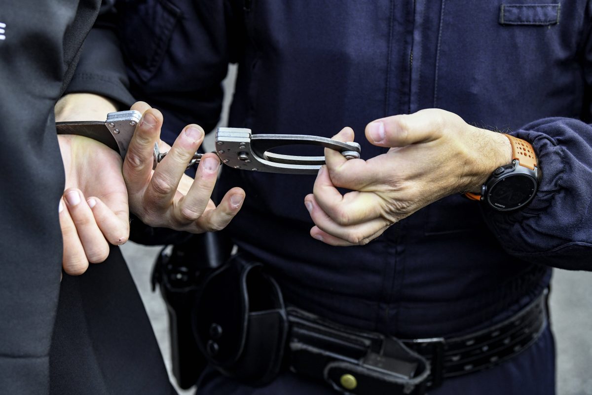 Aufregung in der Schlossgalerie in Sondershausen! Nur noch die Polizei konnte helfen. (Symbolbild)