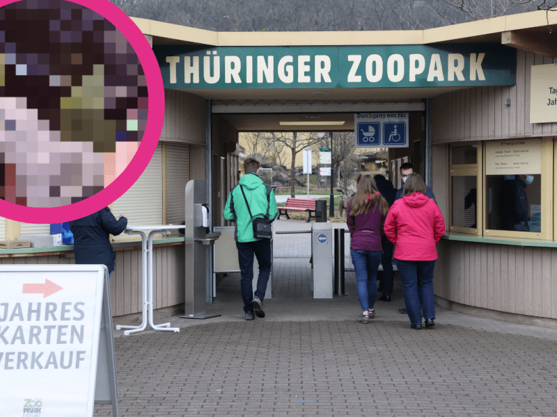 Zoo Erfurt: Baby-Alarm! DIESEN flauschigen Nachwuchs musst du gesehen haben