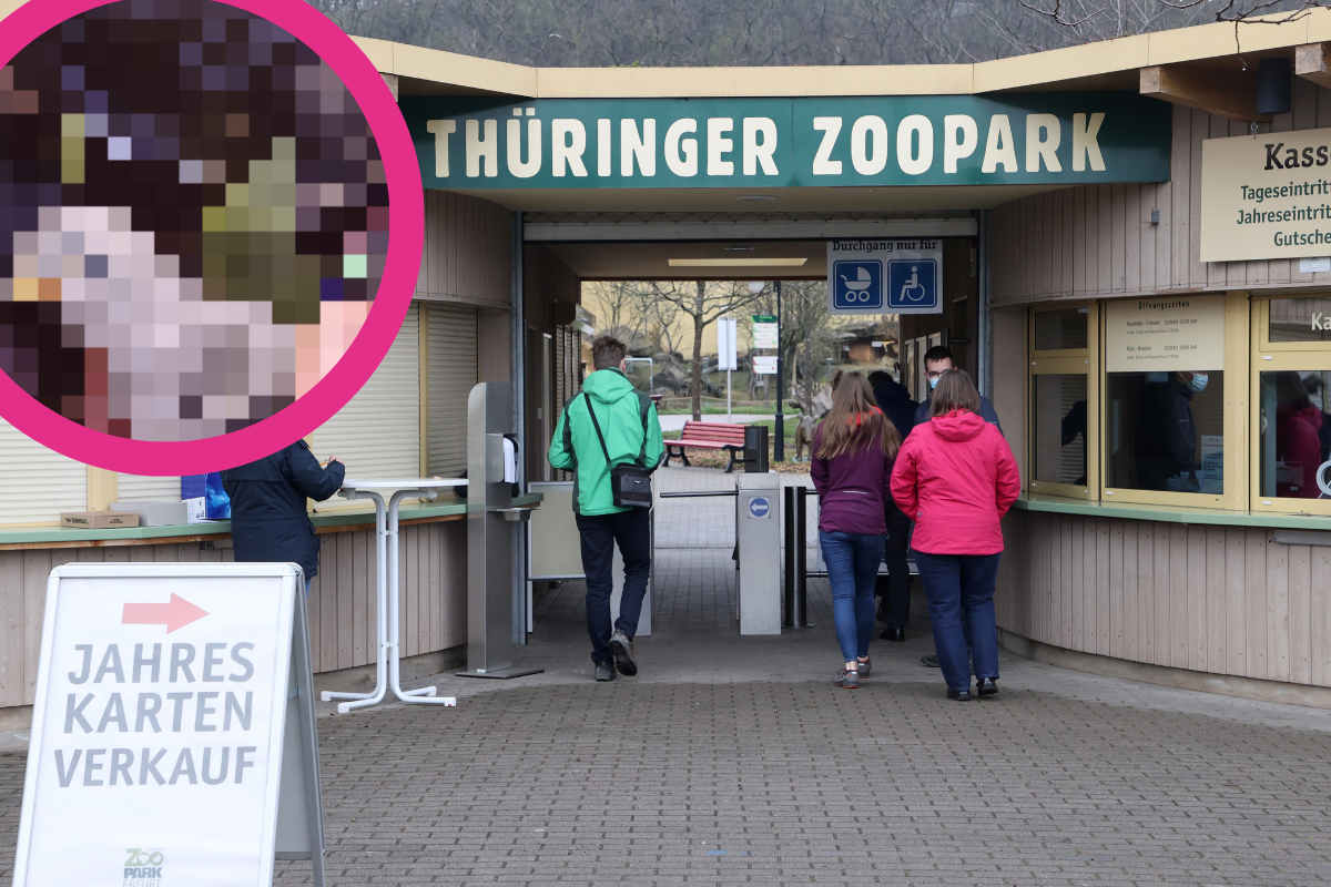 Zoo Erfurt