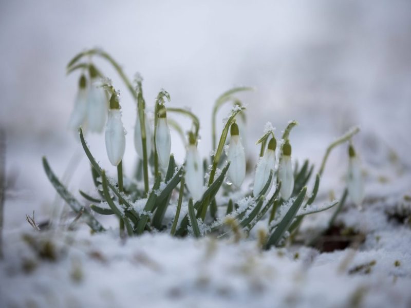 Wetter in Thüringen: Letztes Aufbäumen des Winters? Experte mit eindeutiger Prognose