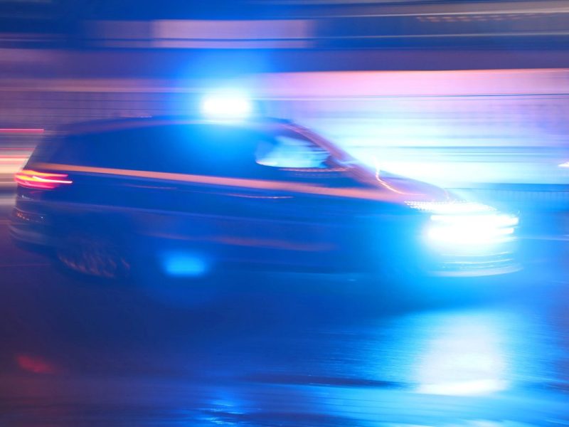 Jena: Schockierende Entdeckung im Gebüsch! Die Polizei steht vor einem Rätsel
