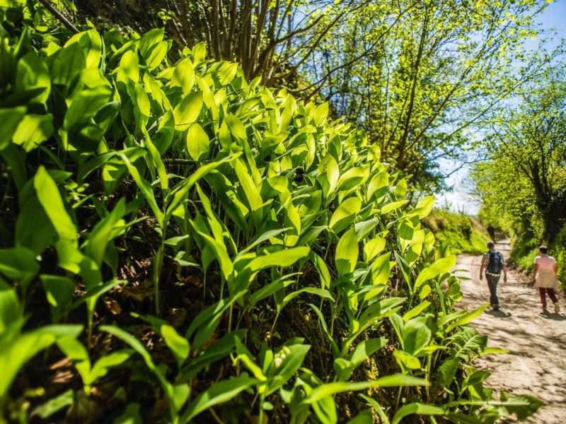 Thüringen: Dreiste Szenen im Steigerwald – einigen könnte es jetzt teuer zu stehen kommen