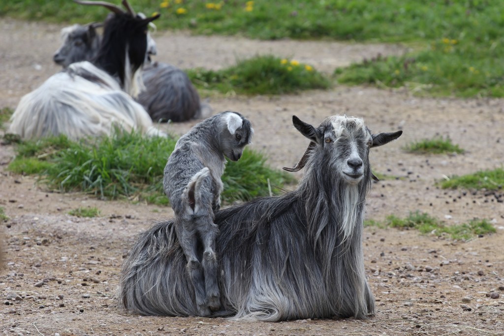 Zoo Erfurt