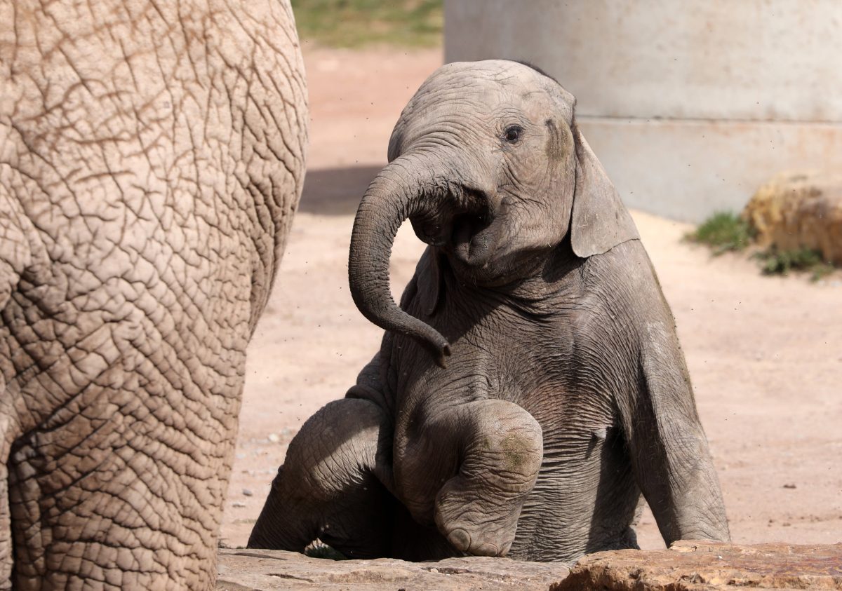 Zoo Erfurt