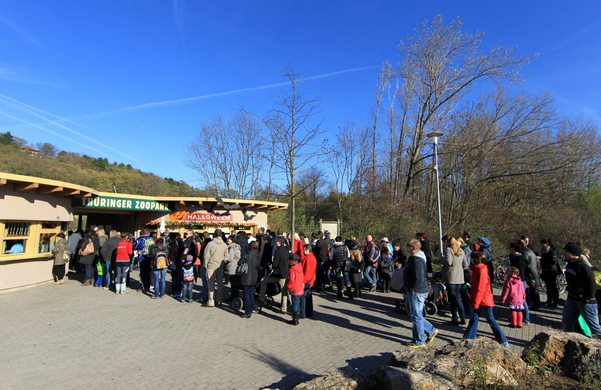 Die Besucher des Erfurter Zoos können ab sofort tierische Neuzugänge bewundern. (Archivbild)