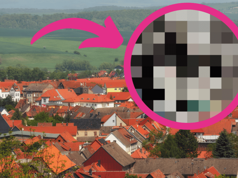 Thüringer Tierheim macht Schock-Fund! „Was sie wohl alles durchleben musste?“