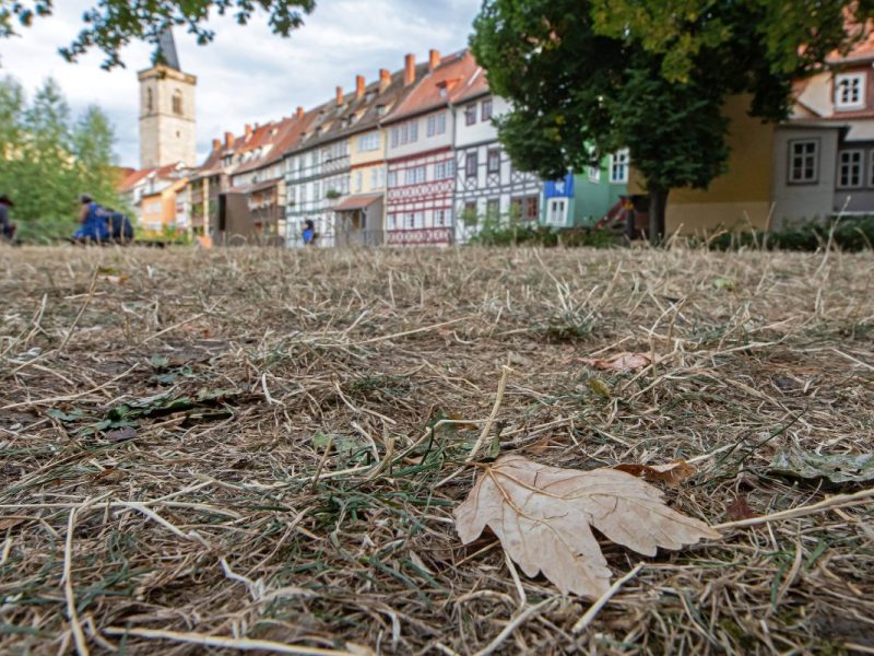Wetter in Thüringen: Experte schockiert – „Es kippt um“