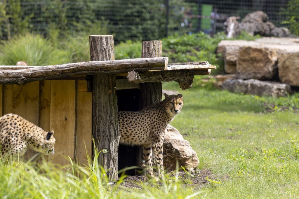 zoo erfurt