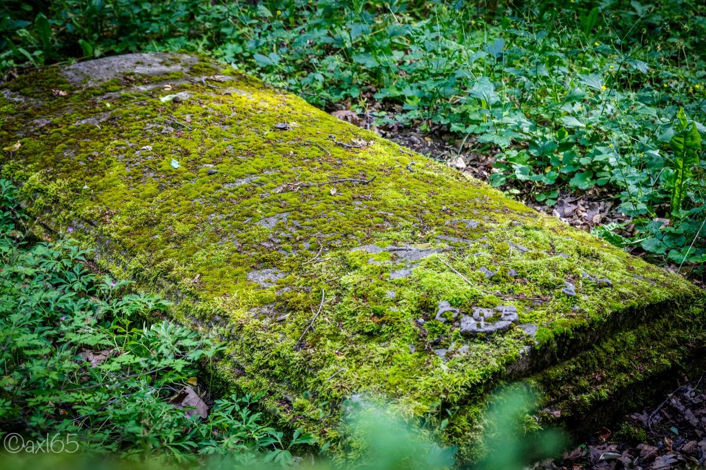 Lost Place in Thueringen 