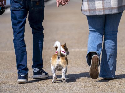 Mann geht mit Hund Gassi