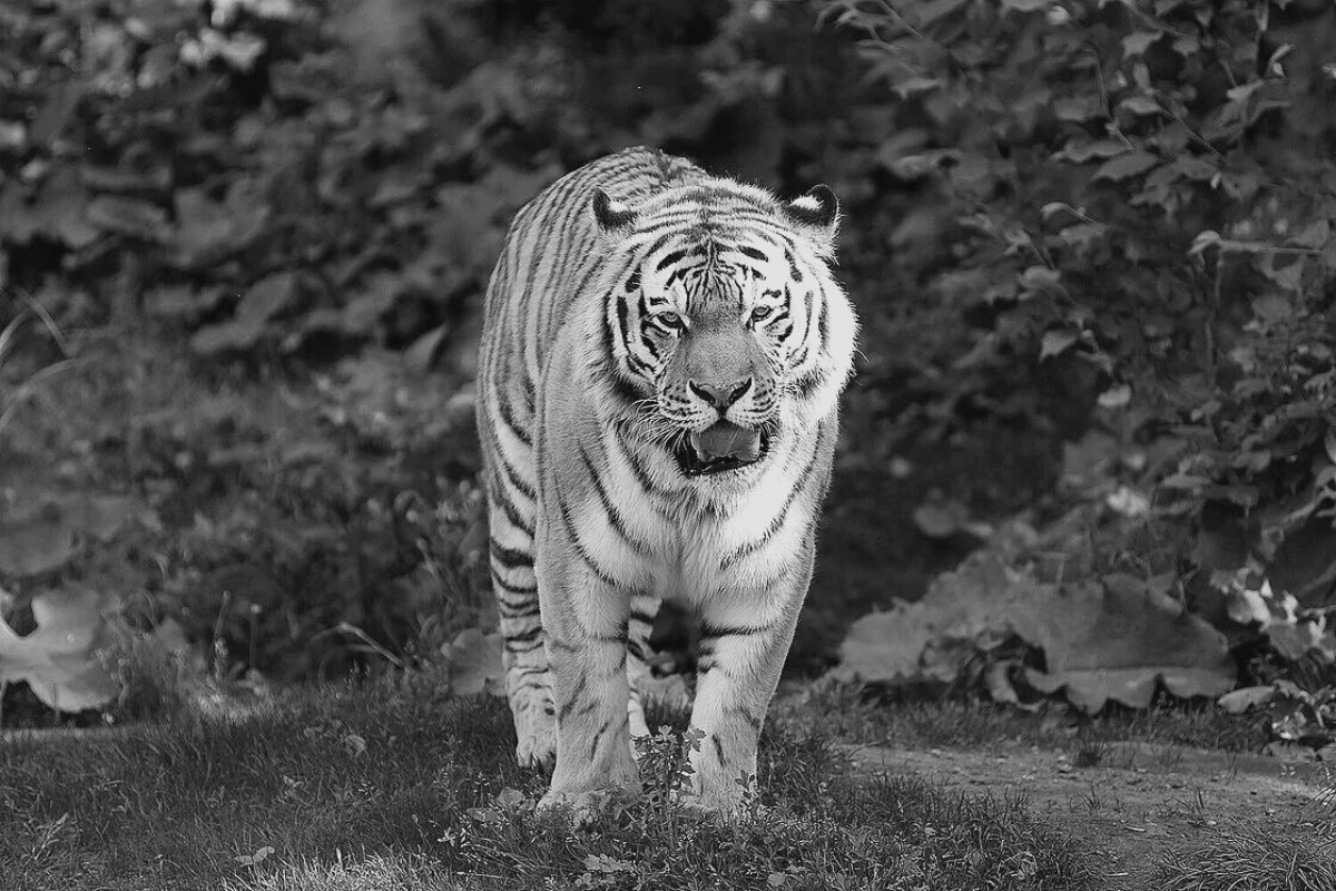 zoo leipzig