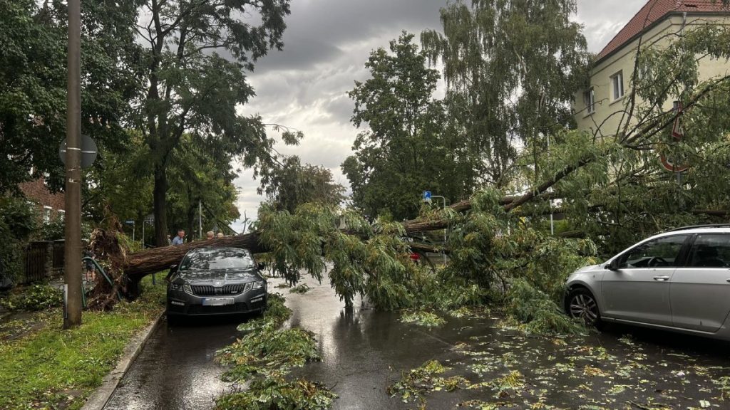 unwetter erfurt
