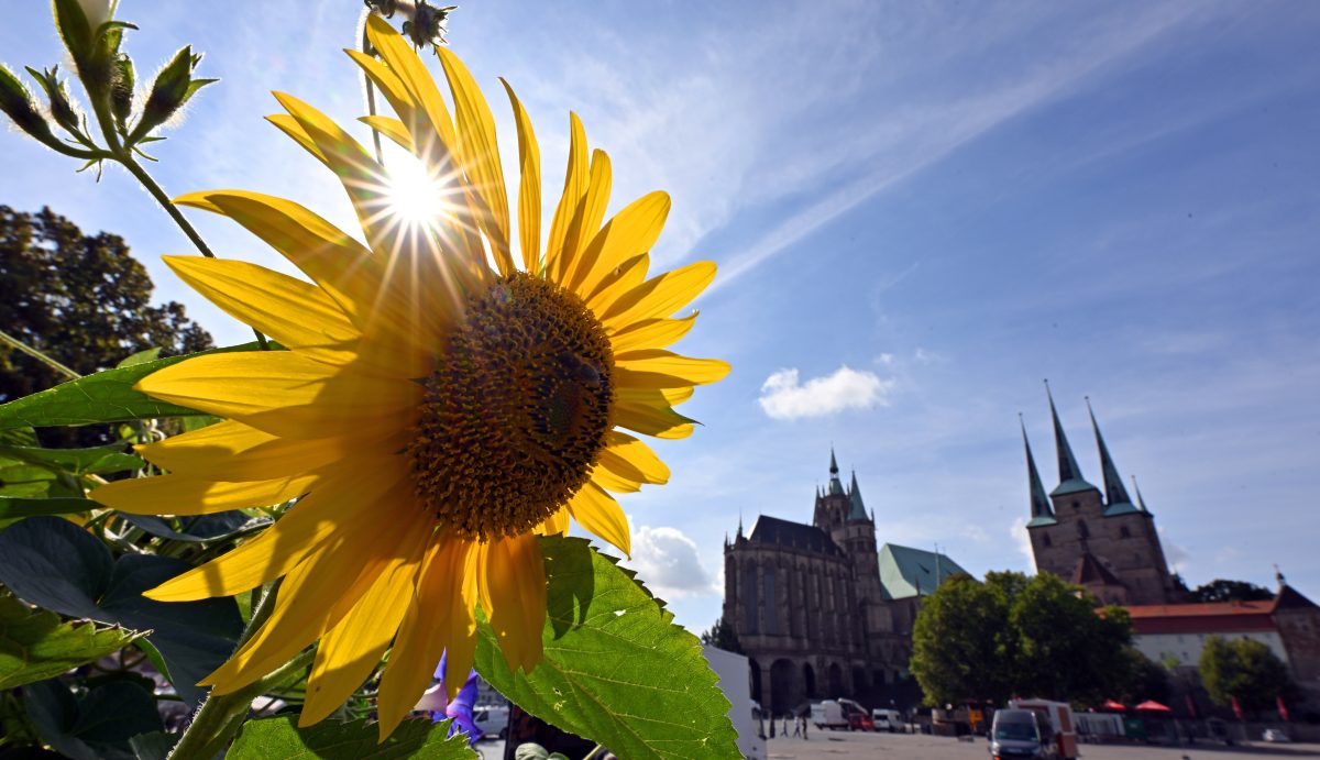 Der Sommer gibt ein unerwartetes Comeback. Auch die Thüringer dürfen sich über schönstes Spätsommer-Wetter freuen. Hier kommen die Aussichten!