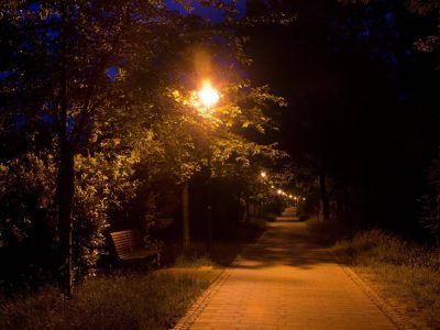 Stadtpark bei Nacht. Symbolbild