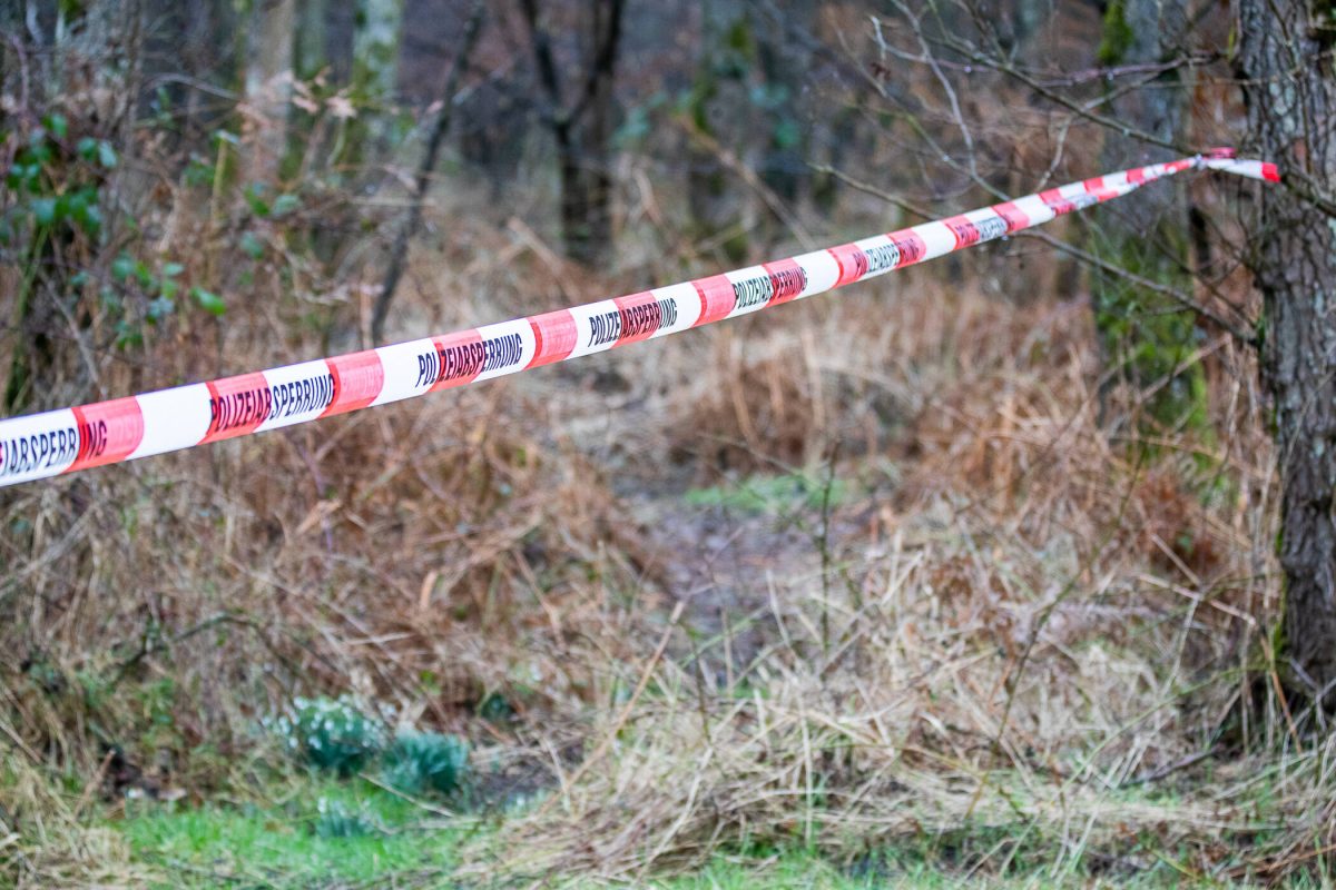 Im Stadtwald in Gera (Thüringen) haben Pilzsucher eine Leiche entdeckt. (Symbolbild)