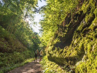 thüringer wald