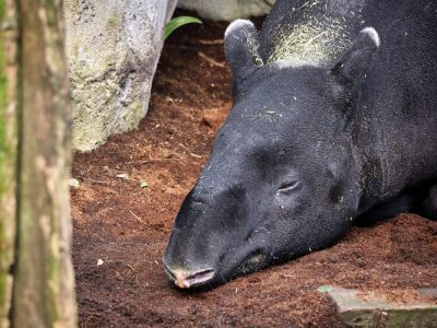 zoo leipzig