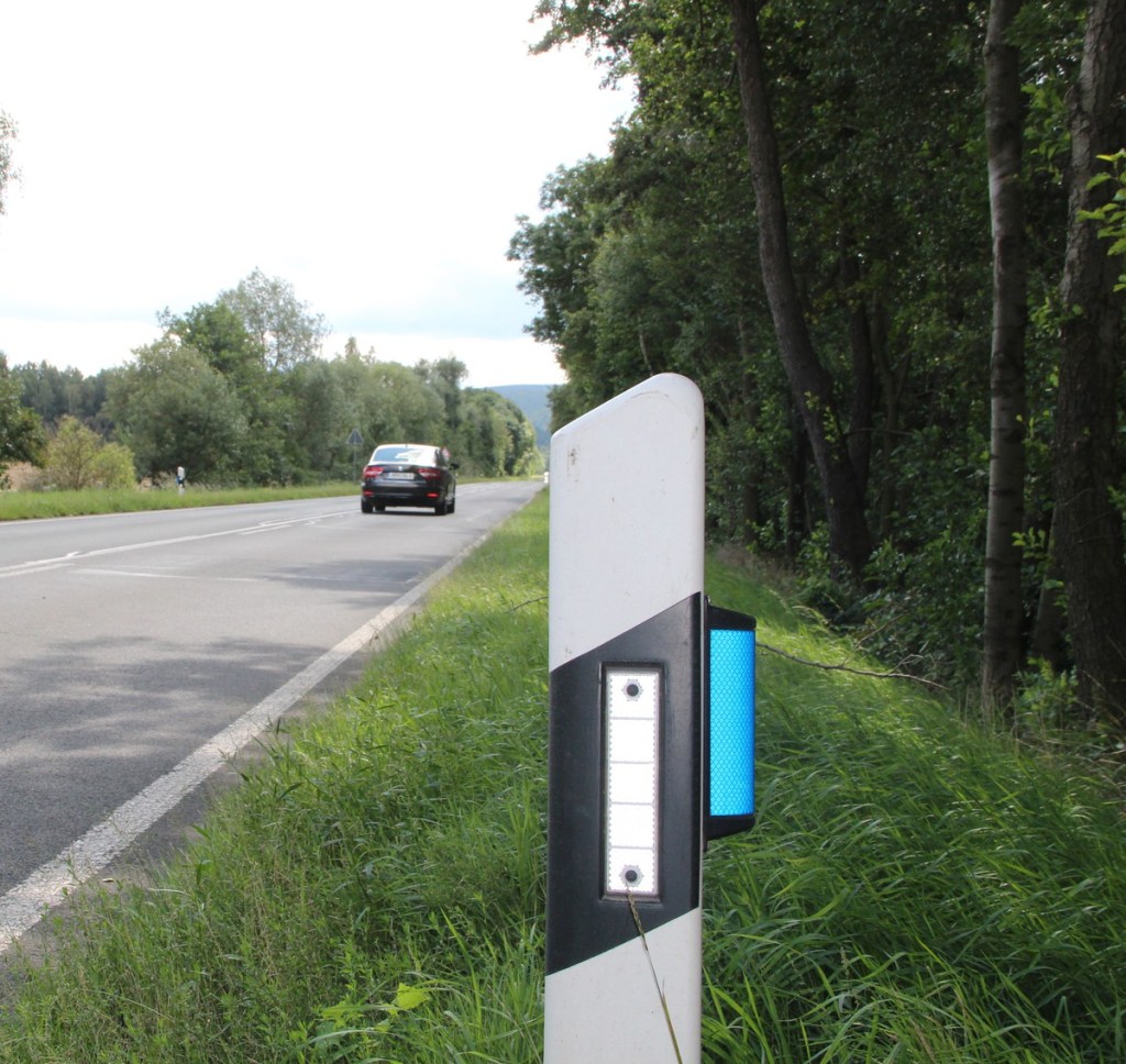 Auto- und Motorradfahrende aufgepasst: Wildtiere kreuzen wieder verstärkt die Fahrbahn!