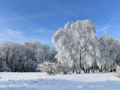 Schon bald entscheidet sich der Verlauf des Winter-Wetters in Thüringen. Der Dezember entscheidet, wie es um Januar weitergeht. (Symbolbild)