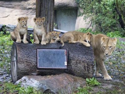 Zoo Leipzig