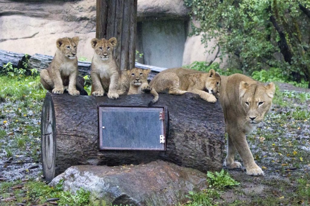 Zoo Leipzig