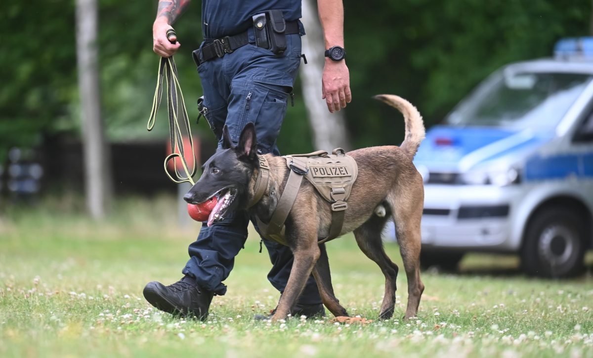 In einer spektakulären Rettungsaktion in Thüringen wird ein Fährtenhund zum Helden. Die Familie ist erleichtert.