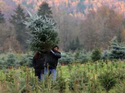 In Thüringen kommt langsam Weihnachtsstimmung auf. Doch dieser Zustand könnte der Vorfreude einen Dämpfer verleihen. (Symbolbild)