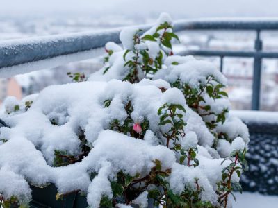 Wetter in Thüringen Wintereinbruch