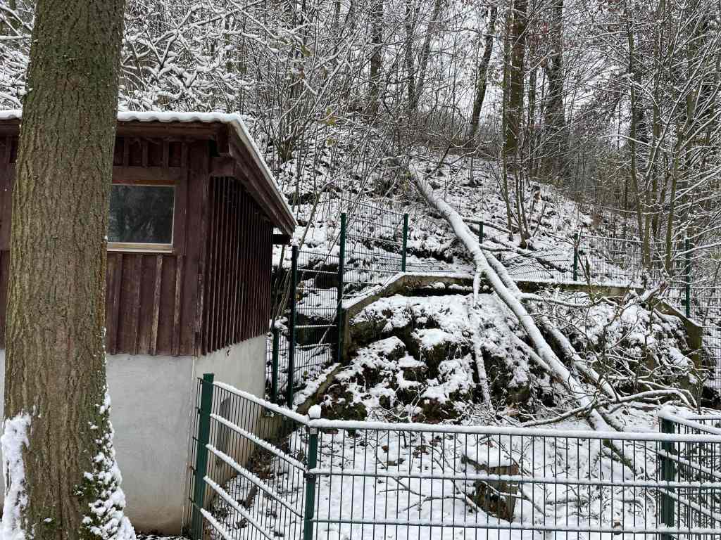 Tierpark Bad Liebenstein