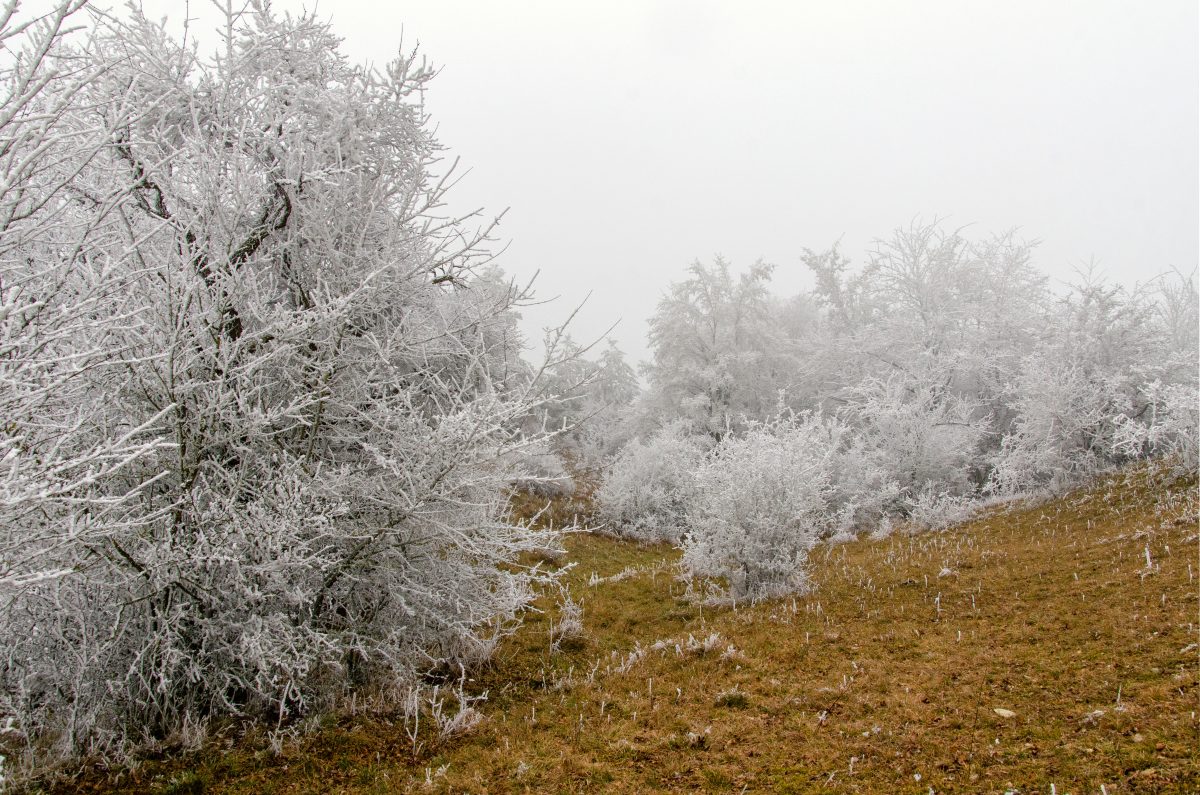 Wetter Thüringen