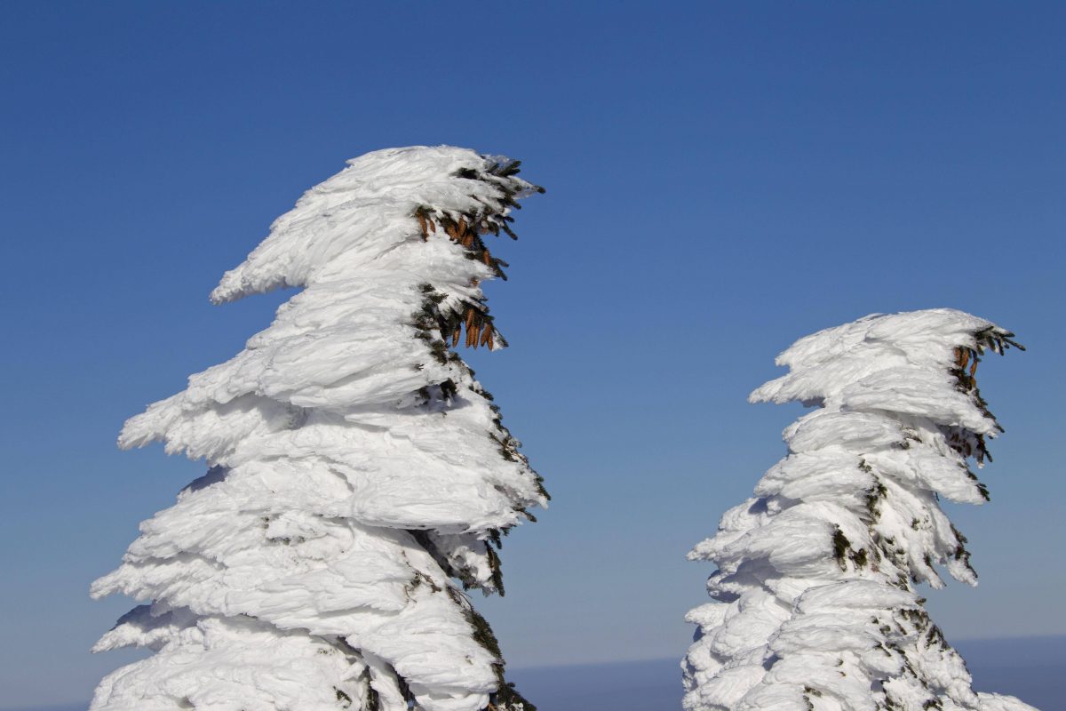 Il tempo in Turingia: più di 40 centimetri al sud!  Rulli di neve?