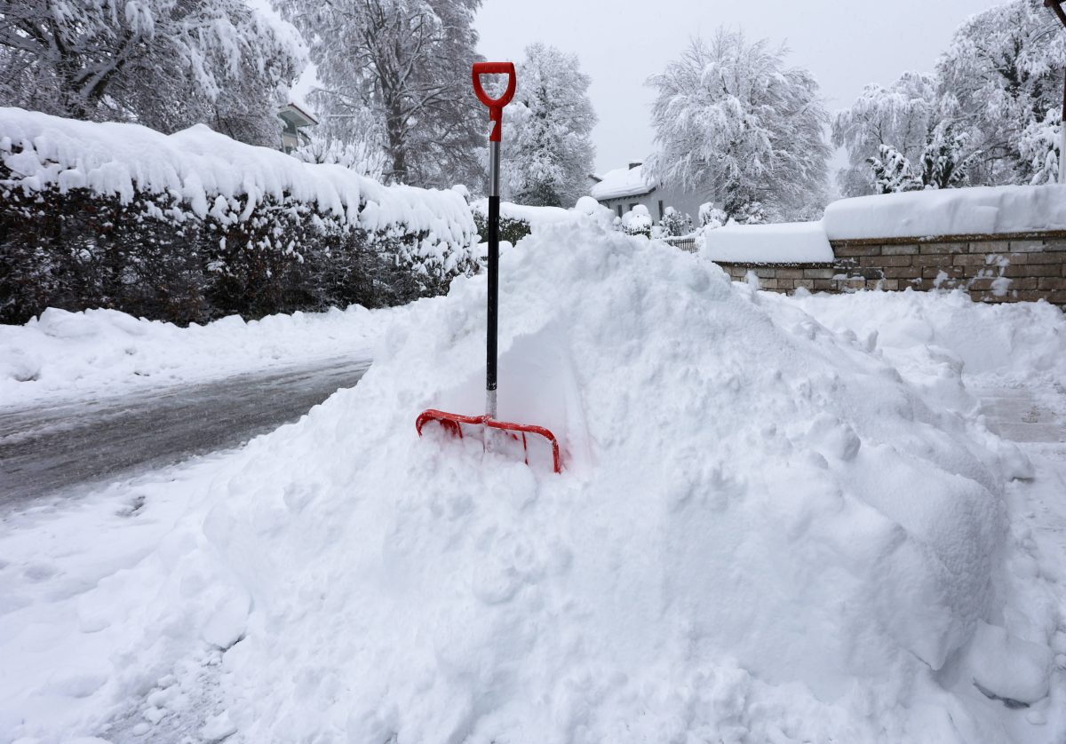 Hilferuf aus dem Thueringer Wald. In Oberhof sorgt der Schnee auf den Pisten zwar für ideale Bedingungen, doch woanders eher für Chaos. (Symbolbild)