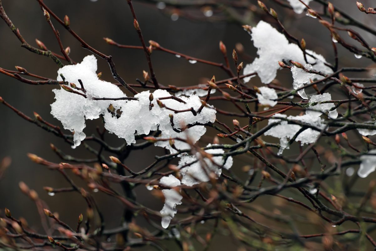 Wetter in Thüringen