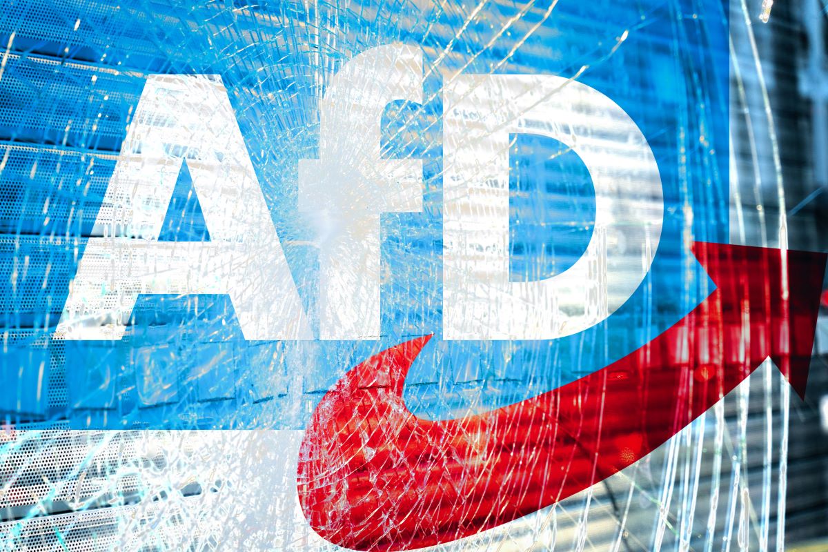 Ein zersplittertes AfD-Logo