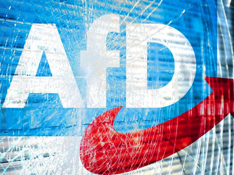 AfD im Sturzflug – HIER schießt die Partei in den Keller