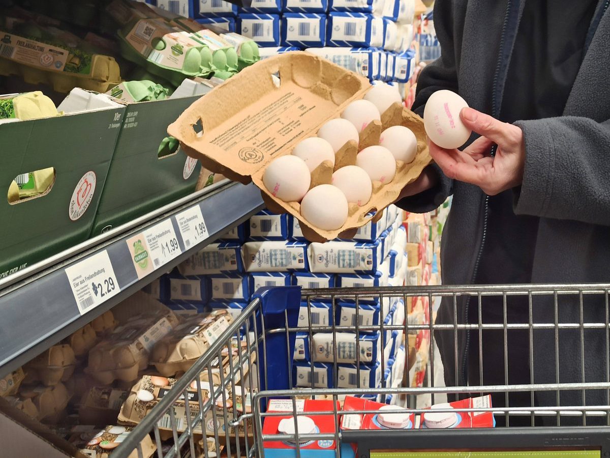 Aldi: Schock nach dem Eier-Kauf – „Noch nie zuvor gesehen“