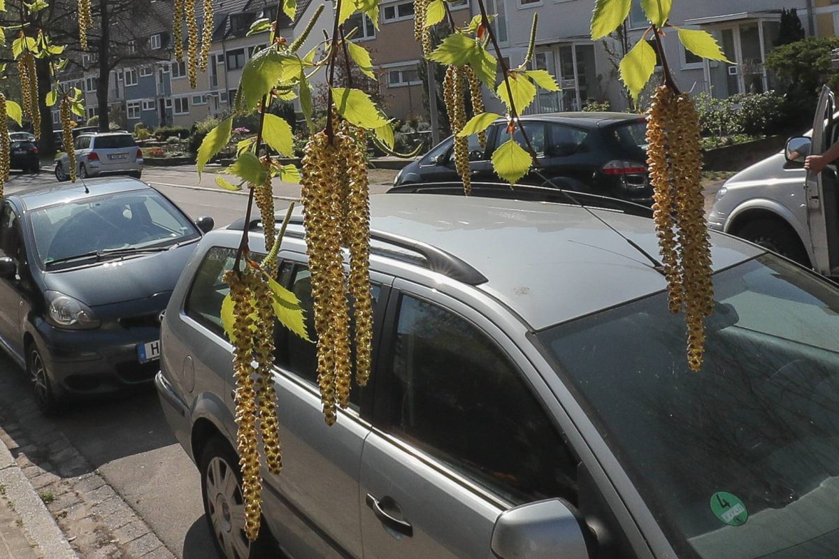 Wetter in Thüringen: Allergiker sollten im Straßenverkehr besonders aufpassen!