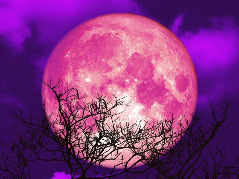 Horoskop: Rosa Mond steht kurz bevor – für diese Sternzeichen ändert er alles!