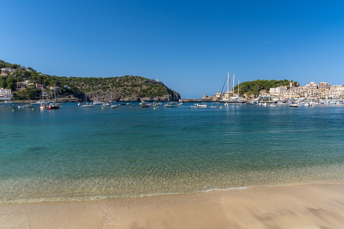 Urlaub auf Mallorca: Mann entdeckt Delfine in Strandnähe