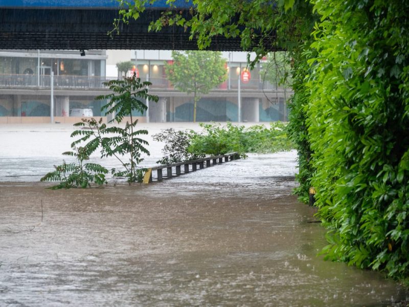 Saarbrücken: Heftige Überflutungen sorgen für Chaos – „Gefahr für Leib und Leben“