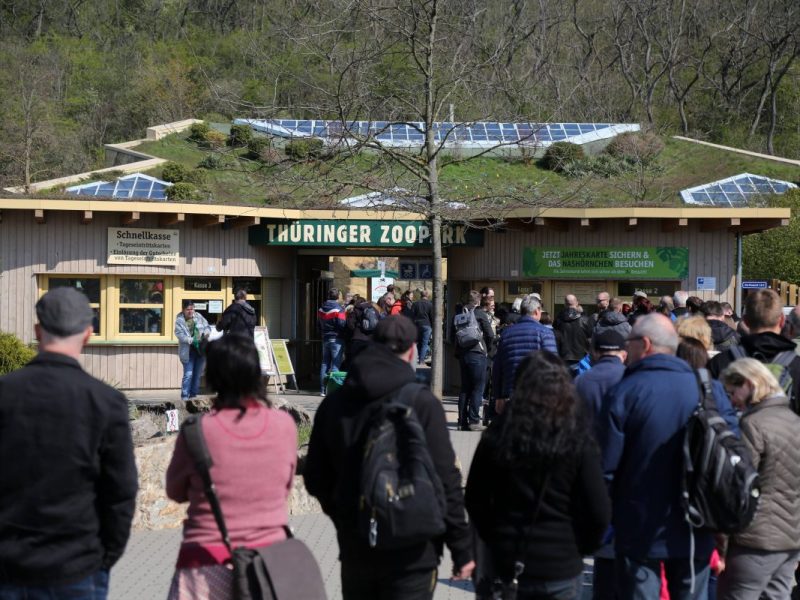 Zoo Erfurt freut sich über neue „Mitarbeiter“ – für etliche Besucher sind es alte Bekannte