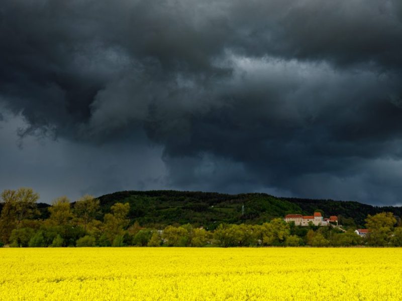Wetter in Thüringen: Droht uns der Sommer-Flopp? Experte packt aus – „Kein Sommer nach Supermildwinter“