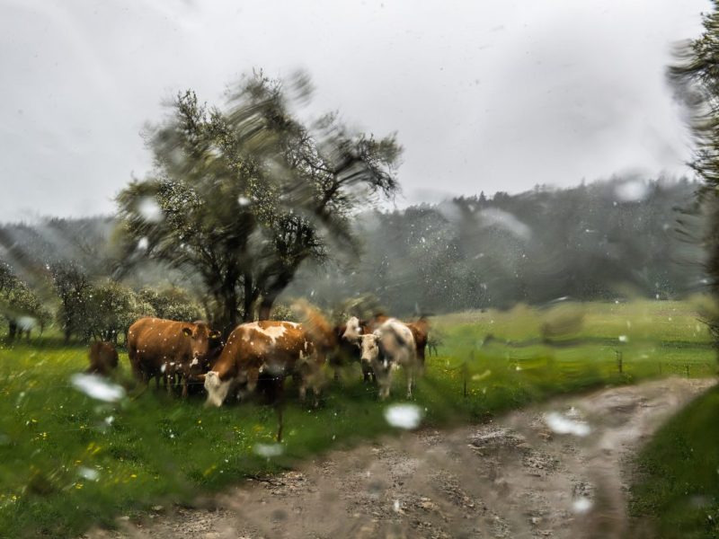 Wetter in Thüringen: Meteorologe entdeckt „scharfe Wettergrenze“! Die Konsequenzen sind bitter