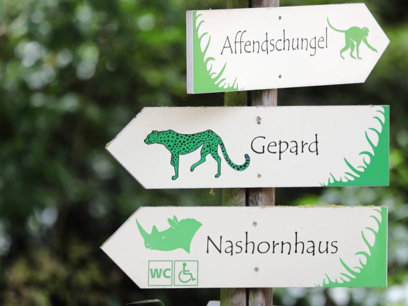 Zoo Erfurt: Große Aufregung im Gehege – Besucher bekommen es sofort zu spüren