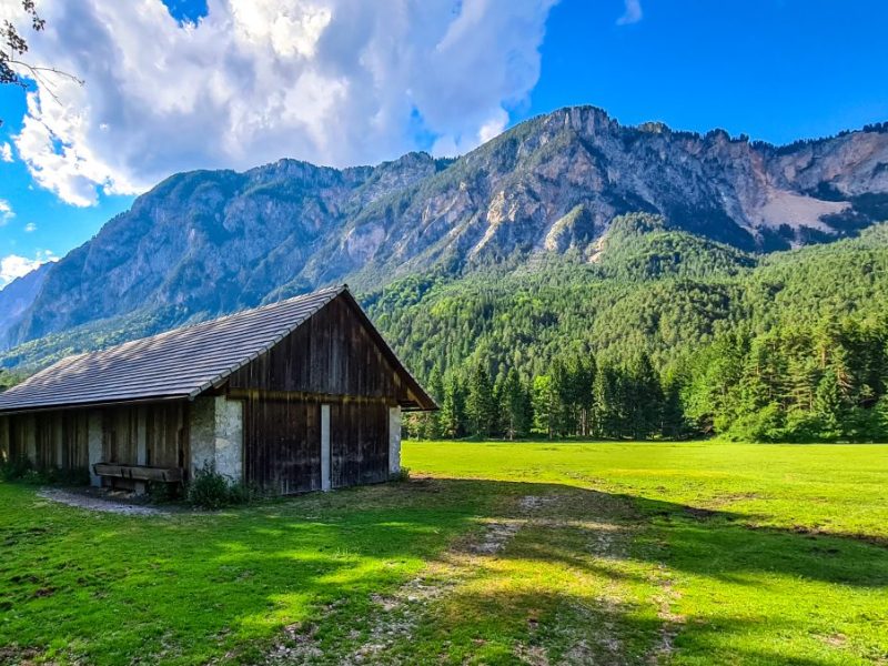 Urlaub in Österreich: Dieser Anblick macht Touristen rasend