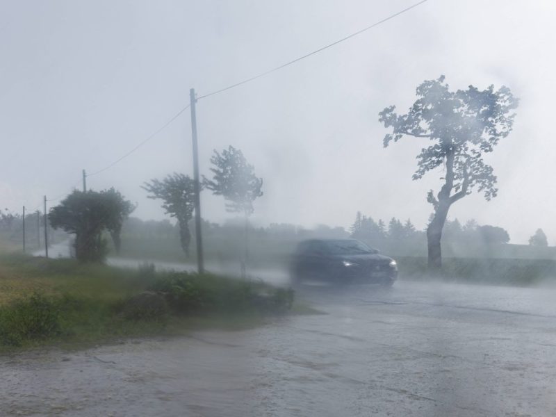 Wetter in Thüringen: DWD und Co. mit turbulenter Prognose! „Drehen wieder voll auf“
