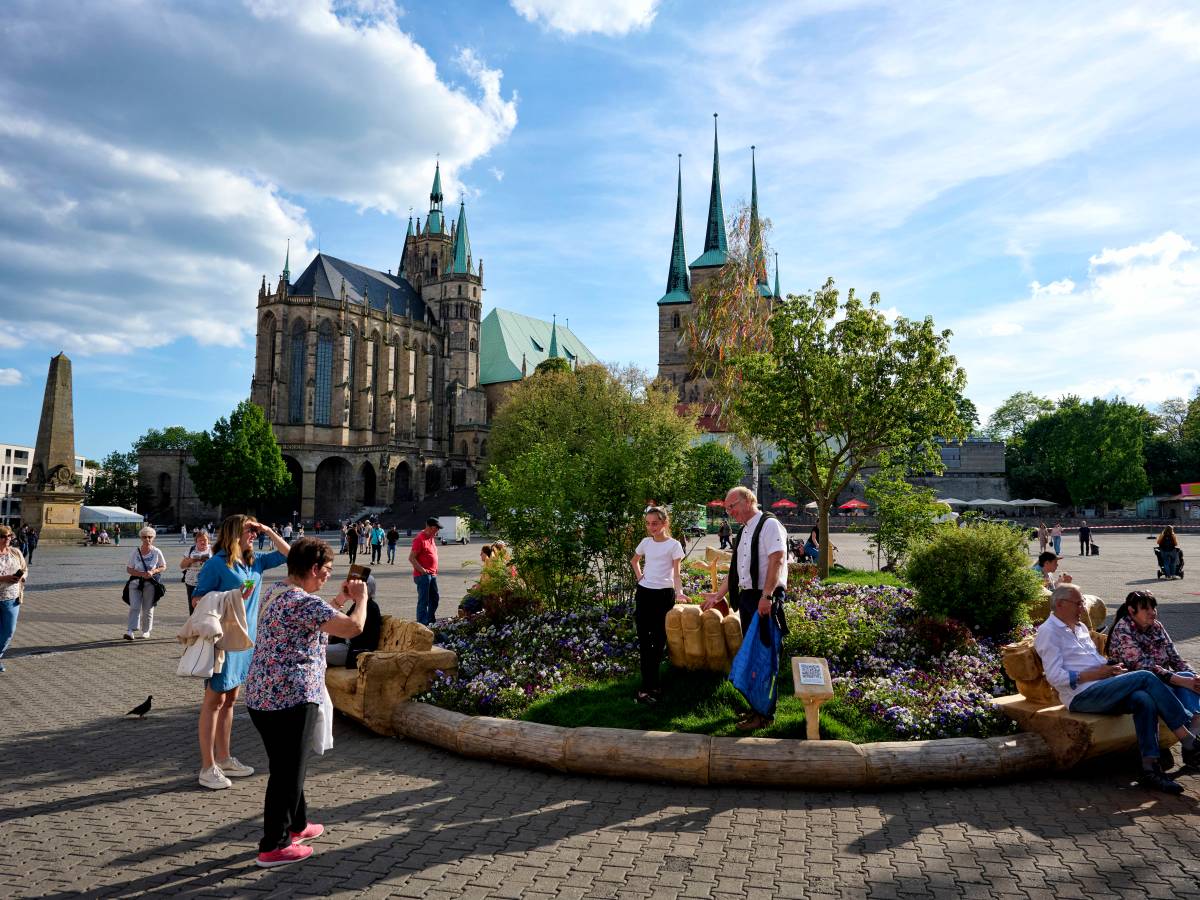 Erfurt räumt bei Ranking ab! DAS haben die Puffbohnen den meisten anderen voraus