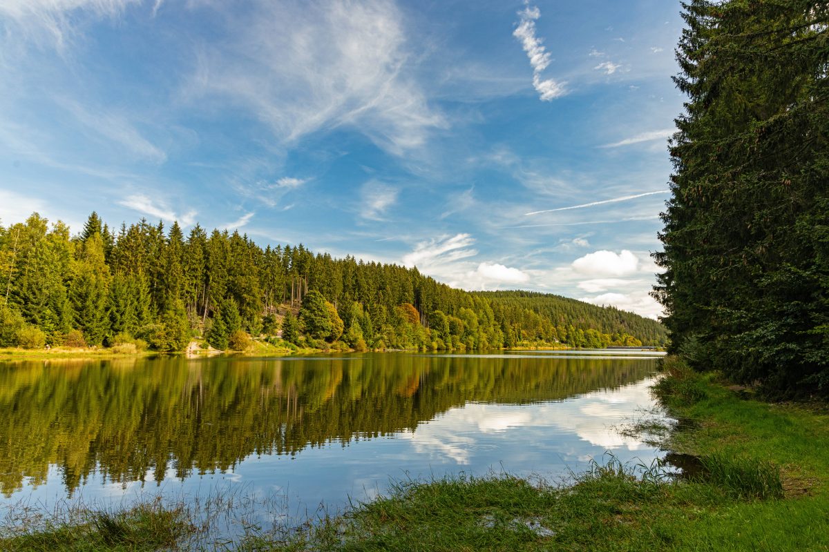 thüringer wald